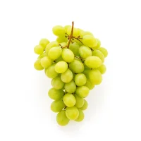 Üzüm
